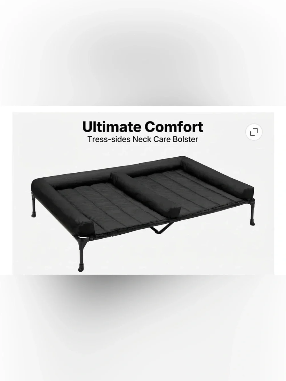 Elevated Dog Bed For Two Dogs